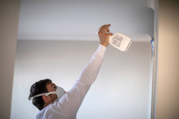 Best Crawl Space Mold Removal  in Wasilla, AK