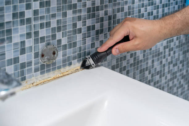 Best Local Mold Removal Service  in Wasilla, AK